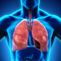 Global Health Initiative: Chronic Obstructive Pulmonary Disease Awareness