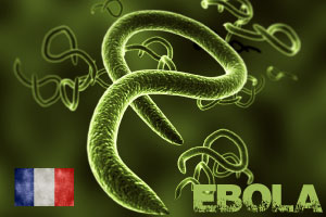 Comprendre le virus Ebola et comment l'eviter