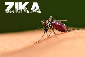 Zika Virus - What You Need To Know