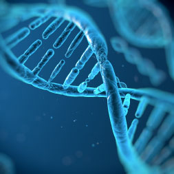 Biology - Genes and Gene Technology